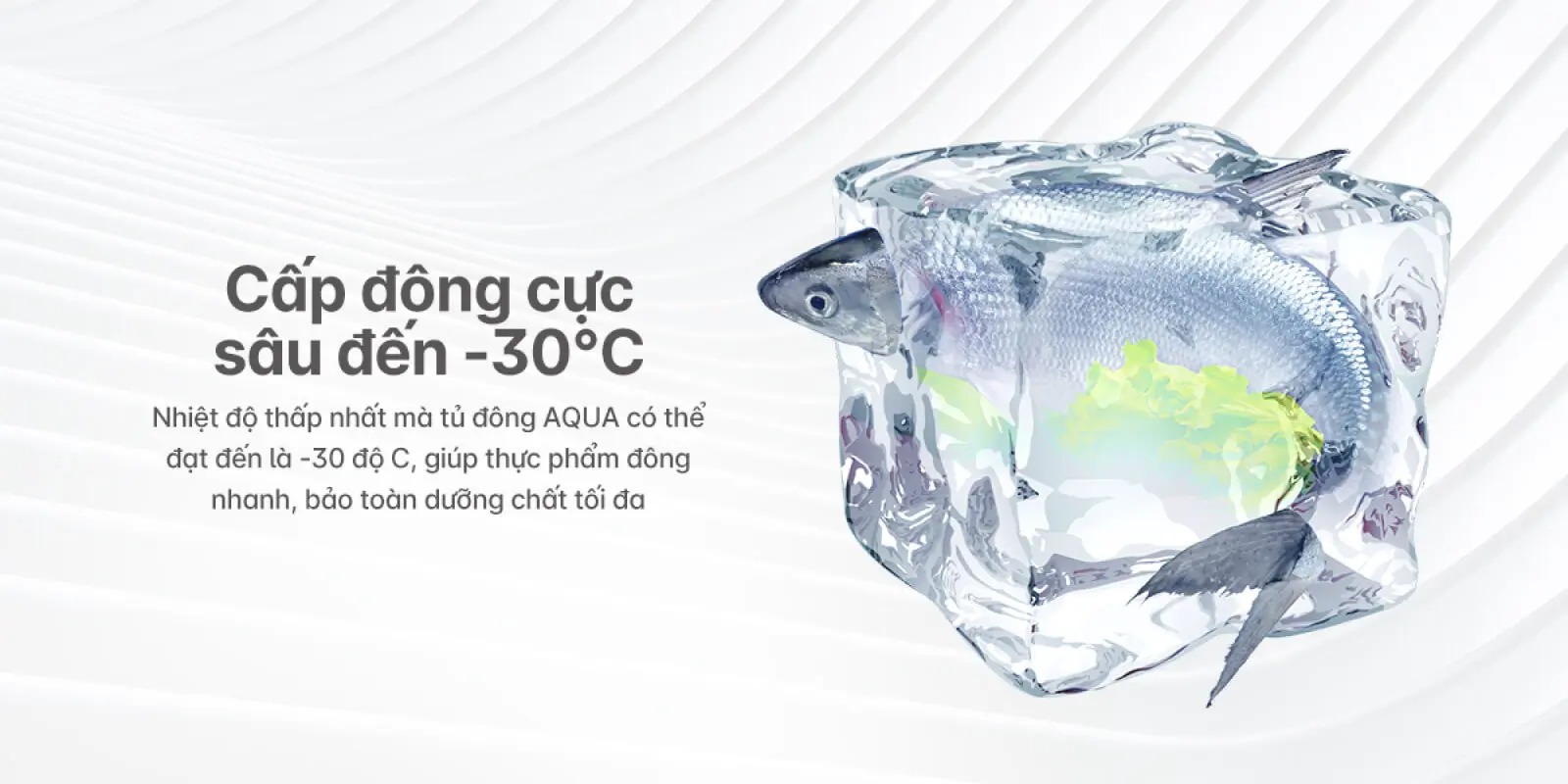 Tủ bảo quản Aqua inverter 365 lít AQF-C5702E, 2 ngăn đông mát, dàn đồng